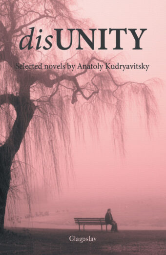 Disunity Cover