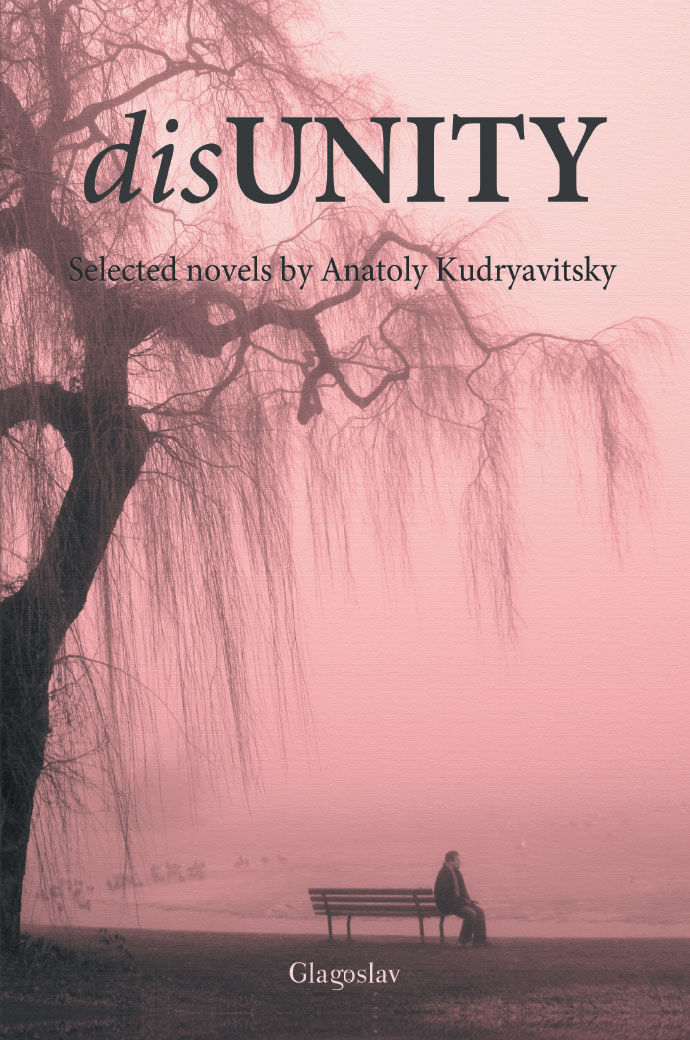 Disunity Cover